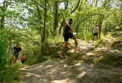 trois itinéraires de trail pour saint-Léonard des Bois