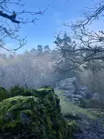 Découverte des richesses géologiques en forêt de Sillé