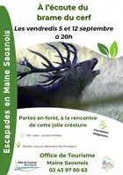 Escapades en Maine Saosnois - À l'écoute du brame du cerf