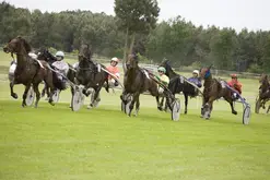 Courses hippiques - Ecommoy