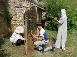 Asnières des bois