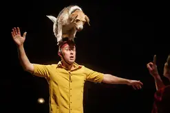Le Cabaret renversé | Festival Le Mans fait son Cirque