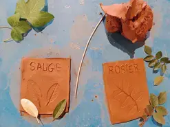 Atelier Enfant "Herbier d'Argile"