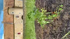 Les Rendez-Vous du Moyen Age : « Le jardin médiéval »