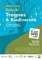 Monument du mois - Balade "les arbres têtrads à Vibraye"