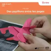 Des papillons entre les pages