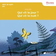 Qui vit le jour ? Qui vit la nuit ?