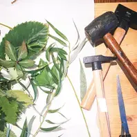 ATELIER FAMILLE "Empreintes végétales"