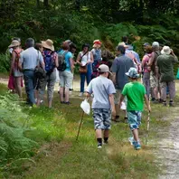 Balade en forêt et découverte de la gestion forestière