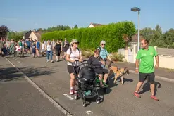 Les Balades de Chico