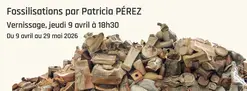 Exposition Céramique de Patricia Pérez