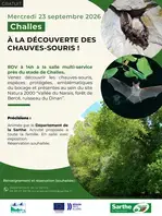 À la découverte des chauves-souris
