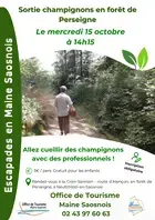 Escapades en Maine Saosnois : Sortie champignons en forêt de Perseigne