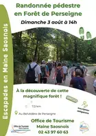 Escapades en Maine Saosnois - Randonnée en forêt de Perseigne