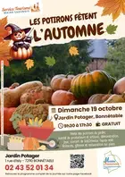 Les potirons fêtent l'automne