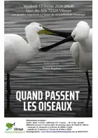 Quand passent les oiseaux ?