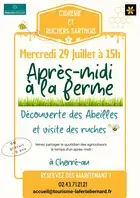 Après midi à la ferme : découverte des abeilles et visite des ruches