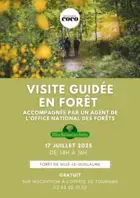 Visite guidée en forêt