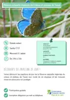 Découverte des papillons de jour !