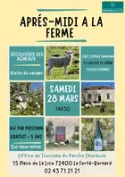 Après midi à la ferme