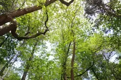 Balade bocagère et forestière