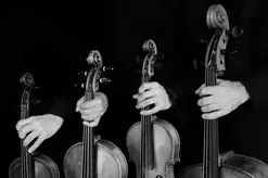 Quintette avec clarinette - Festival Musique à Courtanvaux