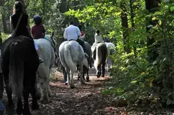 L'Arche de la Nature - Aux Pas des Percherons