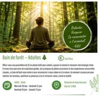 Bain de forêt  Adultes