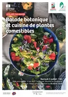Balade botanique et cuisine de plantes comestibles