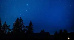 Une nuit à la belle étoile au cœur de la forêt de Bercé !  Avec F. Lasserre