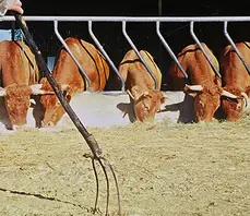 PAT : Visite de la Ferme de Vaulumier