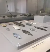 Visite guidée "Mythique Préhistoire" au musée d'archéologie