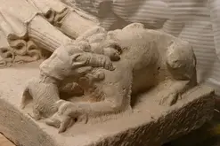 Visite guidée de l'exposition "les animaux s'emparent