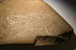 Atelier en famille : graveurs de mammouths