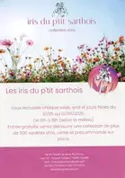 Les Iris du P'tit Sarthois