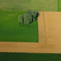 Conférence - débat "L'avenir de l'agriculture : parlons-en."