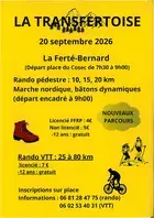 La Transfertoise