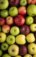 Dégustation de fruits de variétés anciennes et locales