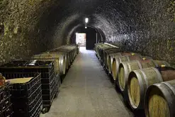 PAT : Visite du Domaine de Cézin