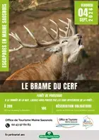 Escapades en Maine Saosnois - Le brame du cerf