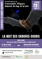 Escapades en Maine Saosnois : La nuit des chauves-souris