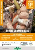 Escapades en Maine Saosnois : Sortie champignons