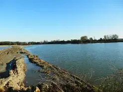 A la rencontre de la vie de l'étang