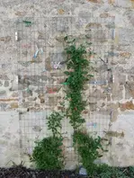Rendez-vous aux Jardins