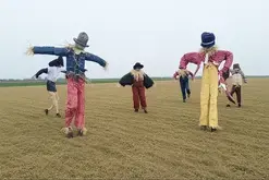 Le tournant de saison - Un pas pour chaque saison et plusieurs pas vers vous