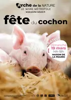 FETE DU COCHON