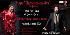 Stage Flamenco Tientos Danse