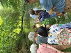 Balade ONF "Grenouille et Cie"