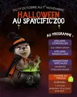 Spaycific'Zoo / Zoodéfis