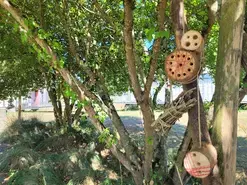 Atelier "Un hôtel pour les insectes 3-6 ans "